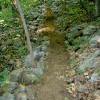 Sals 9/21/08